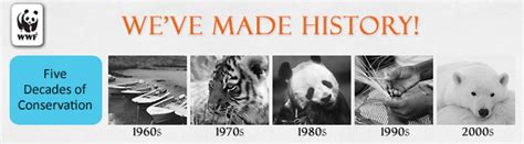 wwf founded|world wildlife fund history.